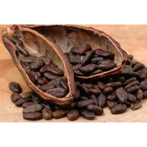 Какао бобы DOMINICAN REPUBLIC HISPANIOLA (ORGANIC CERTIFIED), 0,5 кг