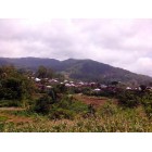 Кофе Индонезия Манделинг Гайо, 0,5 кг