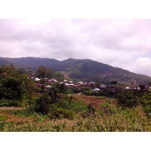 Кофе Индонезия Манделинг Гайо, 0,5 кг